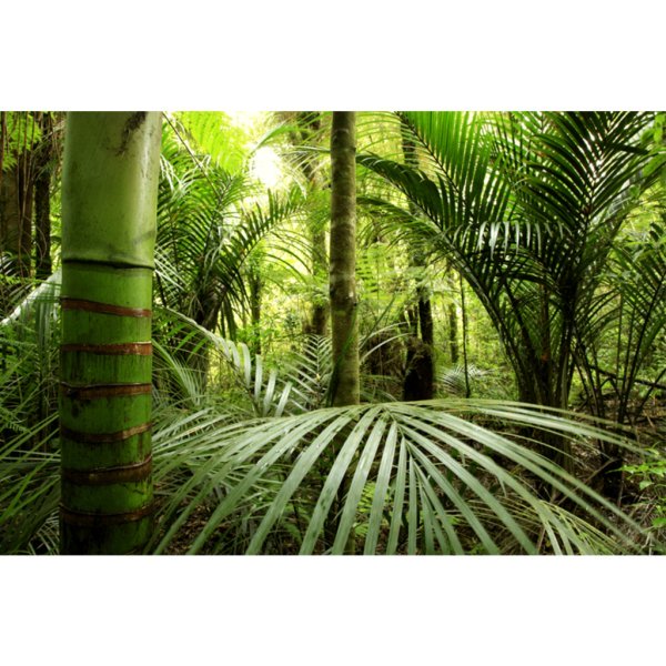 Decordoek 'Jungle' 3,5 x 2,3 meter