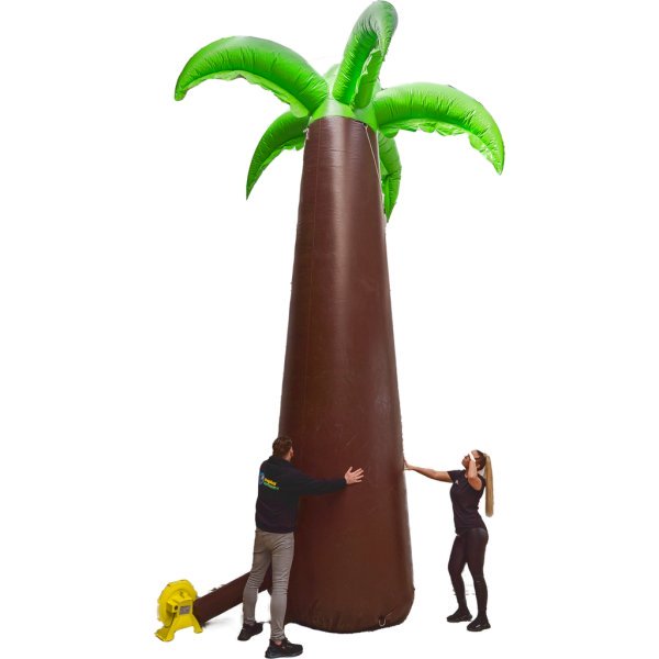 Lucht palmboom 6 meter