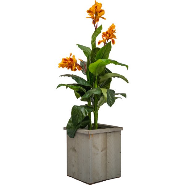 Kunst Canna 195cm (Oranje)
