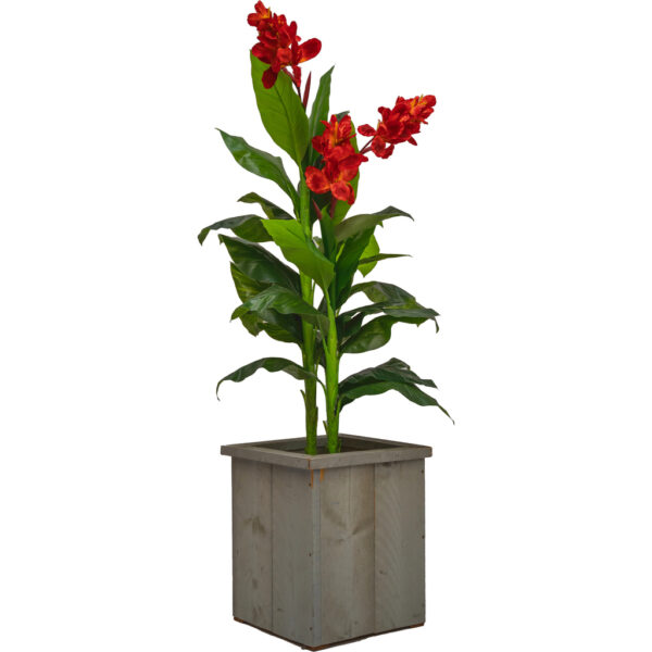 Kunst Canna 195cm (Rood)