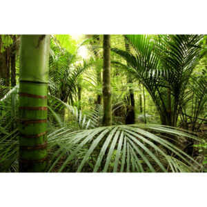 Decordoek 'Jungle' 3,5 x 2,3 meter