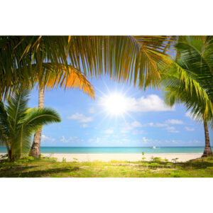 Decordoek 'Tropical beach' 3,5 x 2,3 meter