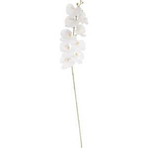 Kunst Orchidee 100cm (Wit)
