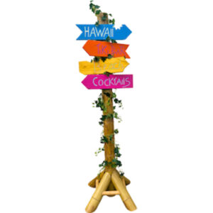 Beach wegwijzer 210cm